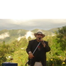 LUIS ARTURO MONCALEANO GOMEZ