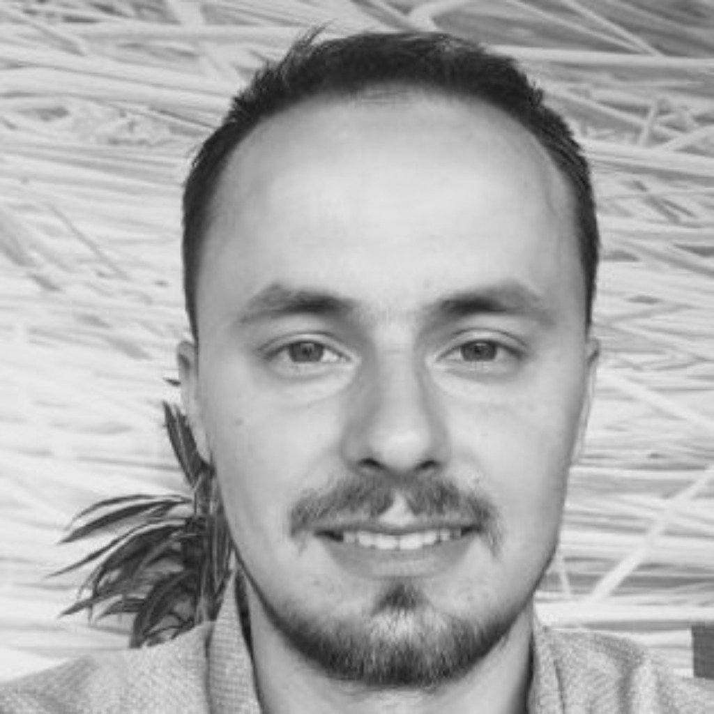 Anes Hasicic Senior Software Engineer Tech Lead Thinksurance GmbH