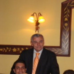 Domenico Zelli