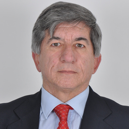 Luis Sanfiz