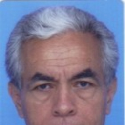 José Domingo Molina Guerrero