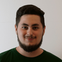 Shayan Tafakori Delbari