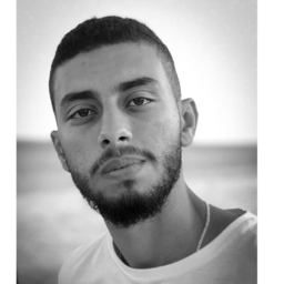 Ahmed Mostafa Fahmy Mohamed