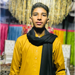 Syed Ayan Ali Shah