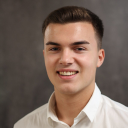 Anton Breitinger's profile picture