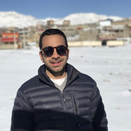 Ing. Mehrad Kashanifar