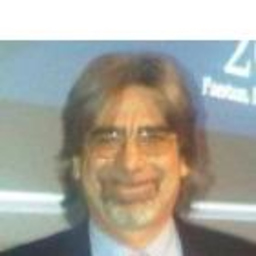 Domenico Palmese