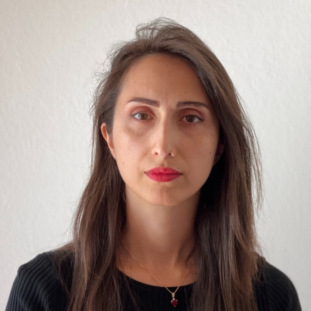 Mahdis Mosallami Aghili Ausbildung und Berufserfahrung XING