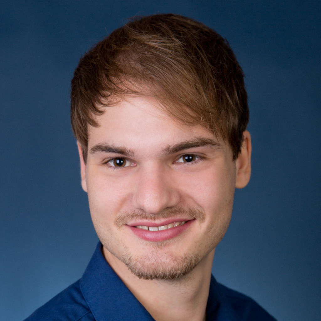 Michael Kotzer SAP Consultant FI Schwarz IT KG XING