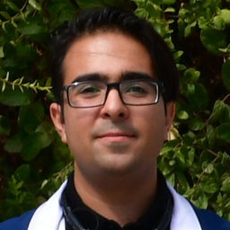 Erfan Emami