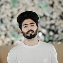 ali zain