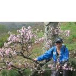 Dr. Chun Liao