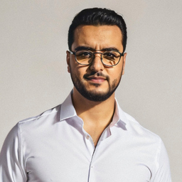 Anis Toumi