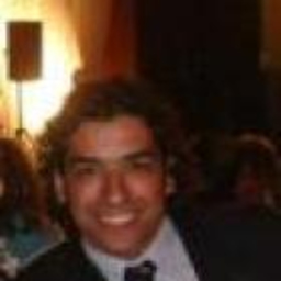 Luis Ibarra