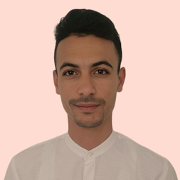 Fekri Ben Mohamed