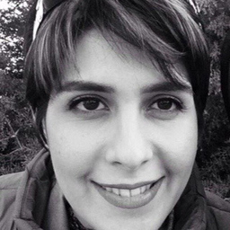Mina Rezaie Farrokh
