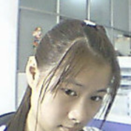 逢春 蔡