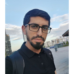 SALAHALDIN T H ABUSHAR
