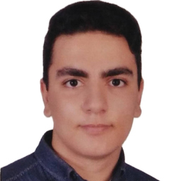 Mobin Zamani Sadabadi