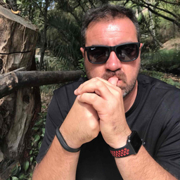 João Carlos Domingues 
