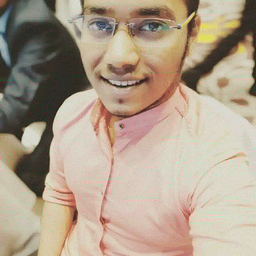 Ing. Pratik Chavan