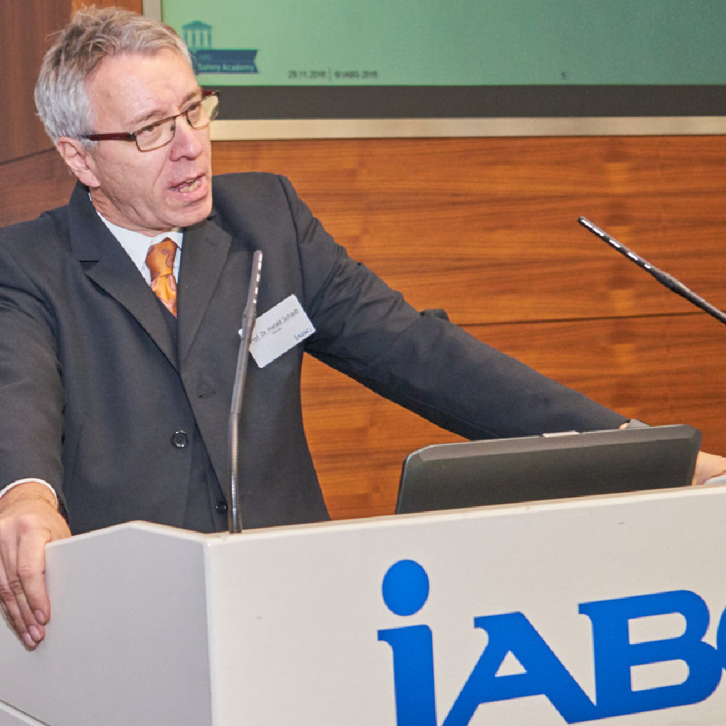 Prof. Dr. Harald Schaub Head of Safety and Security Academy IABG XING