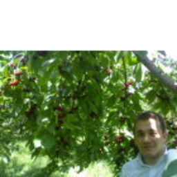 Mustafa Mayuncur