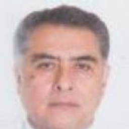 Manuel de Jesus Campos Veloz