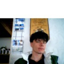 Dominik Weidlich