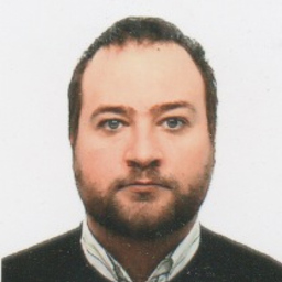 Raúl Pedroche Novillo