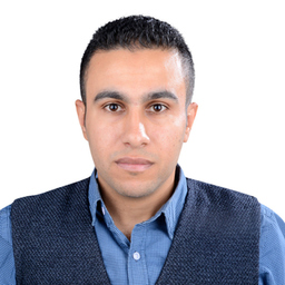 Alaa Ismail