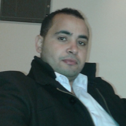 Dipl.-Ing. Sofien Themri