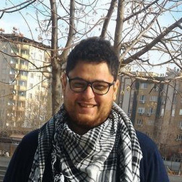 hazeem arian
