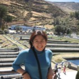 N.N. AVILA NAPAN