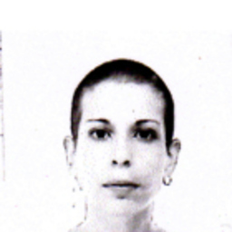 vincenza pisano