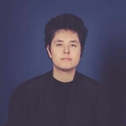Ing. Mikhail Grinberg