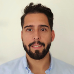 Dipl.-Ing. Joao Fernandes