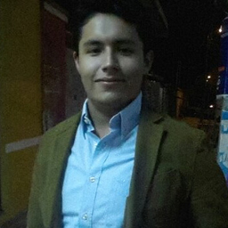 LUIS ENRIQUE AVILA QUINTANILLA