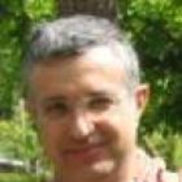 Alejandro Borrás Pardo
