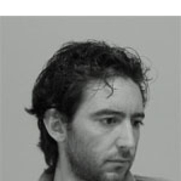 Nicola Zanghi's profile picture