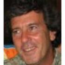 Daniel Montini de Brito