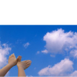 Libero Di Volare