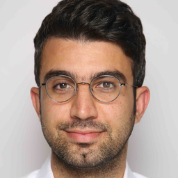 Alireza Soozandehtash's profile picture