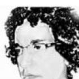 Víctor Izquierdo Mora