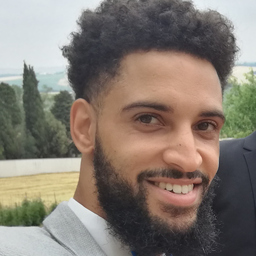 Sylvain Michenet