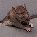 Juan Alvarez