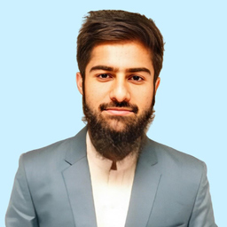 Ing. Ali Hamza