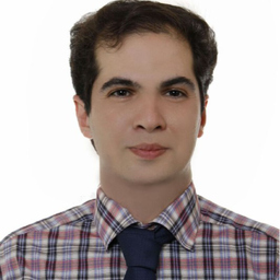 Amir Ansari