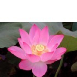 成 陈