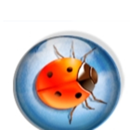 Marc Valette's profile picture